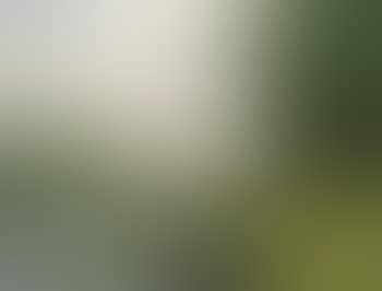 Landscape with Odense river (preview)