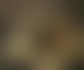 Study of young woman on bed (preview)