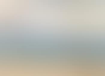 Skagen Sonderstrand on a clear day in May (preview)