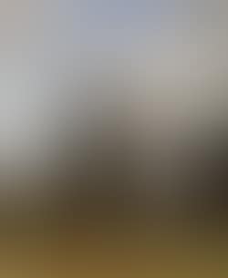 Landscape with farm and trees (preview)
