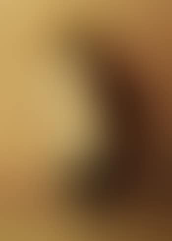 Portrait of an Oriental (preview)