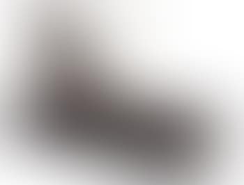 Le Cabinet Anthropomorphique (preview)