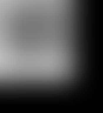Portrait of a lady (preview)