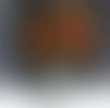 Red flowers (preview)