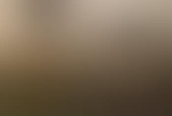 Foggy landscape (preview)
