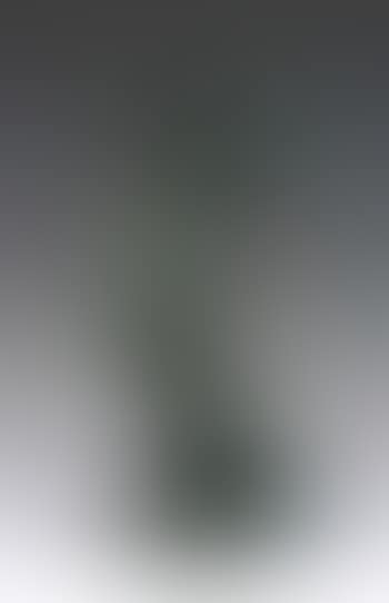 Woman aflame (preview)
