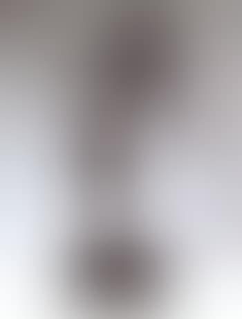 Minotaure (preview)