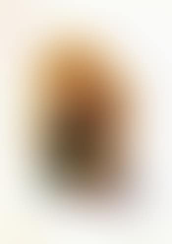 Fillette au violon (preview)