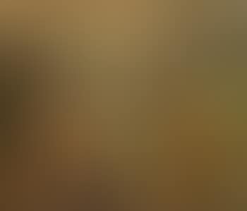 At the lotus pond (preview)