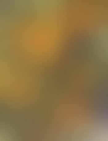 Sunflowers (preview)