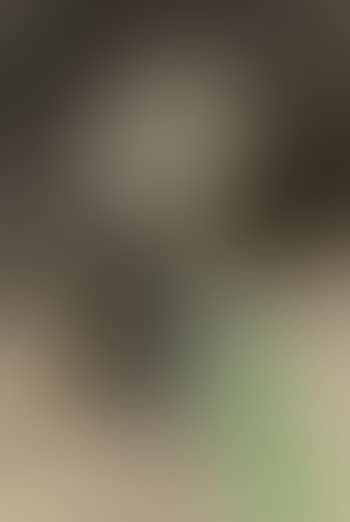 Head (preview)