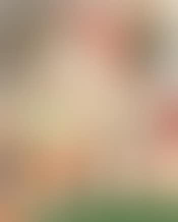 Berdie (preview)