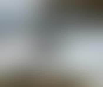 Instilling fog (preview)