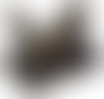 Figure 4 (preview)