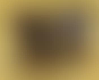 Composition (preview)