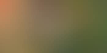 INLE - composition (preview)