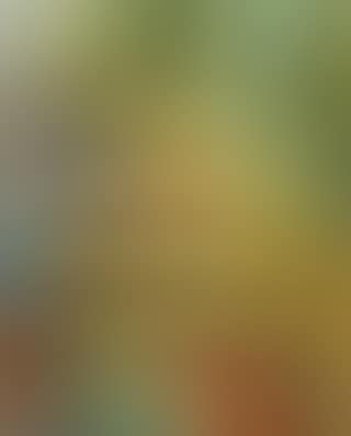 Composition (preview)