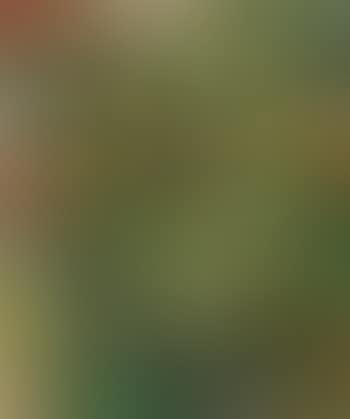 Composition (preview)