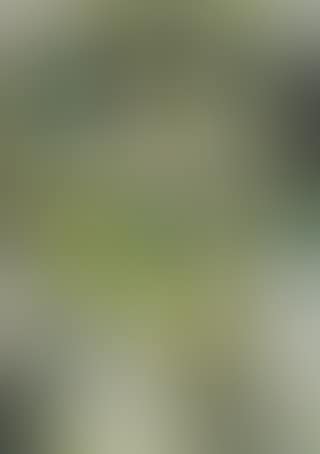 Composition (preview)