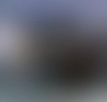 Green field group (preview)