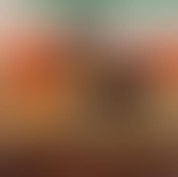 Still life with blackbird and banana (preview)