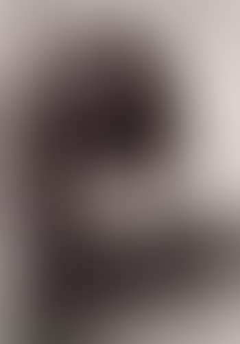 Head (preview)