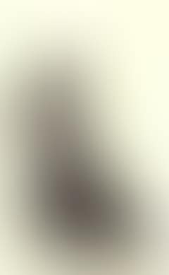 A Cairn terrier (preview)