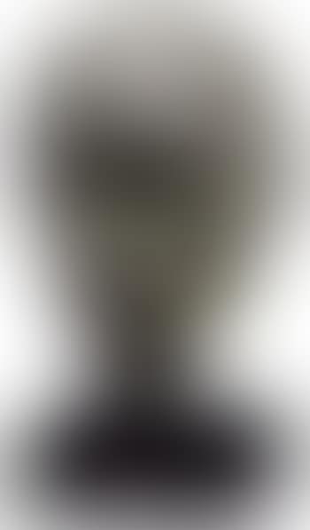 Head of Jawaharlal Nehru (preview)