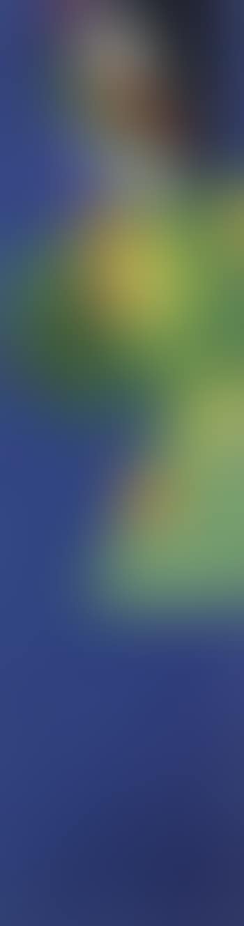 Still life (preview)