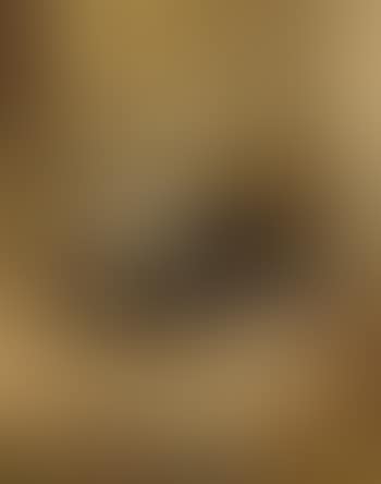 Kittens at play (preview)
