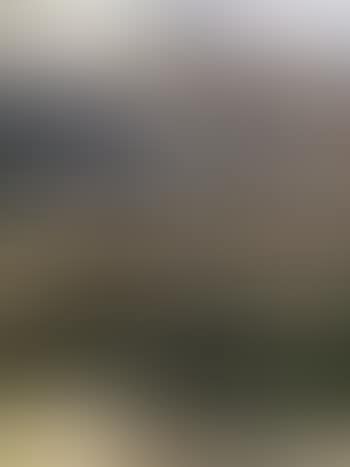 Port d'Honfleur (preview)