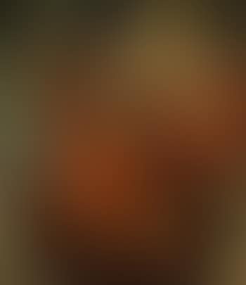 Nature morte a la raie (preview)