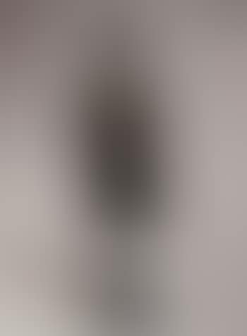 Grande femme assise, Annette (preview)