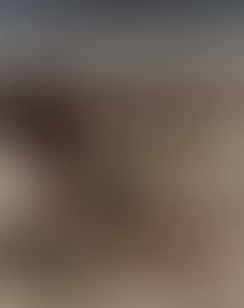 Titre inconnu (preview)