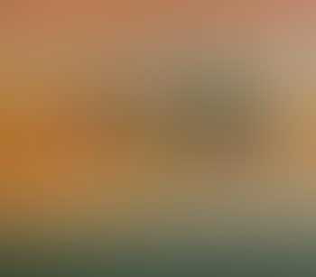 Still life with pepperoni (preview)