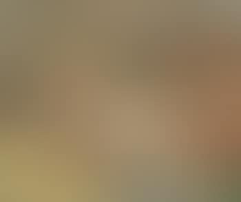 Estaque (preview)