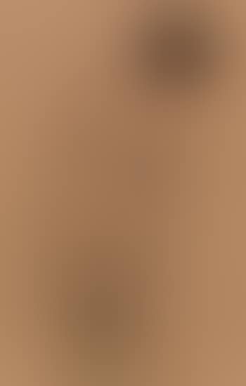 Standing female nude seen from behind (preview)
