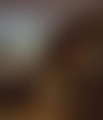 Scenes chinoises (preview)