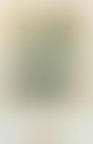 Arbre (preview)