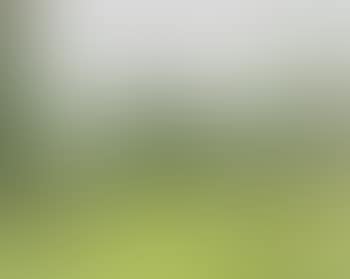 Prairie a Eragny, temps gris (preview)