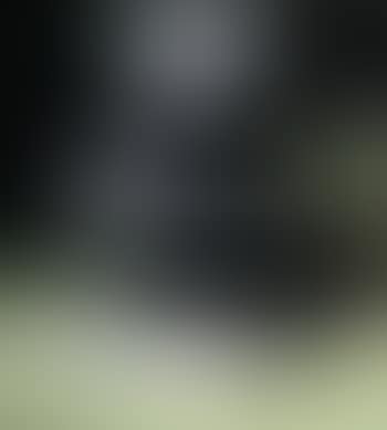 Torse (preview)