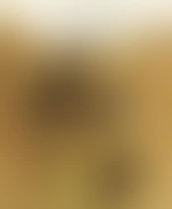 Partie de campagne (preview)