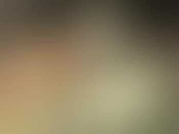La faience italienne (preview)