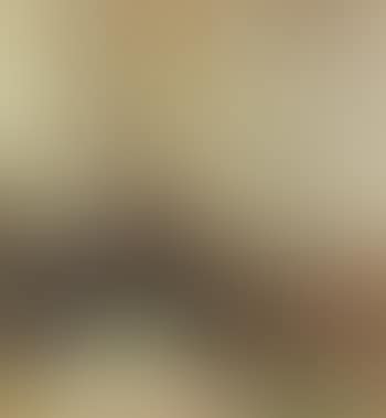 Madame Vuillard cousant (preview)