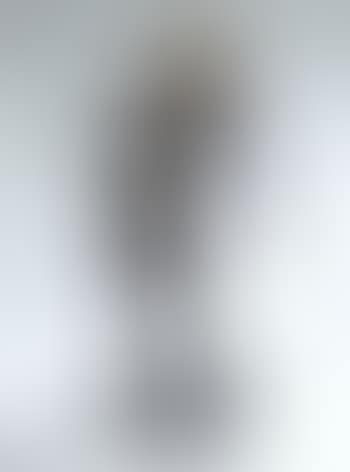 Le minotaure (preview)