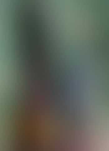 Silbersternbild (preview)