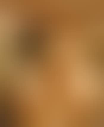 Teste di gladiatore (preview)