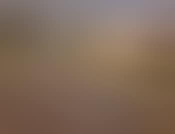 Petit mas en Camargue (preview)