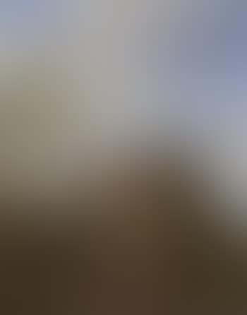 Resting horseman with horse and dog in landscape (preview)