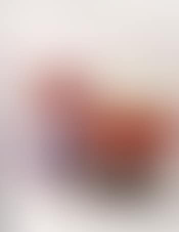Campbell's tomato juice. Del Monte peaches. Brillo soap pads. Heinz ketchup (preview)
